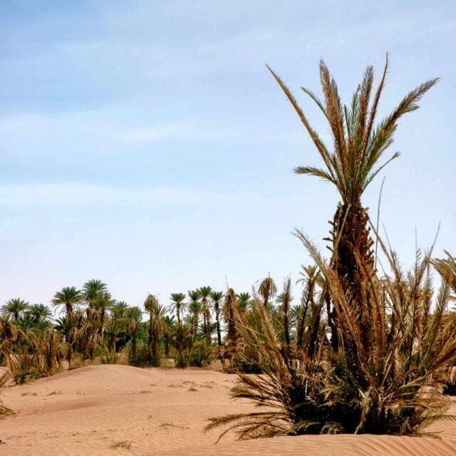Cidades Imperdíveis no Marrocos: Guia para Agentes de Viagens
