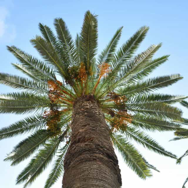 Experiências Culturais Únicas em Roteiros pelo Marrocos